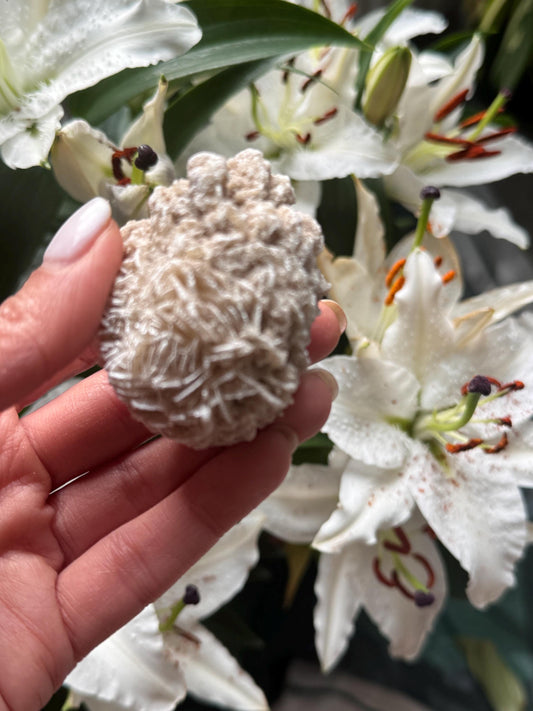 Selenite Crystal  Desert Rose | Natural Calcium Mineral | Healing Stone for Energy Cleansing, Grounding & Zodiac Balance Gemstone