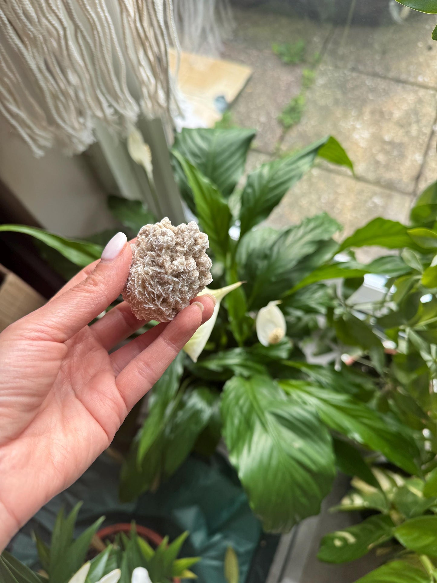 Selenite Crystal  Desert Rose | Natural Calcium Mineral | Healing Stone for Energy Cleansing, Grounding & Zodiac Balance Gemstone